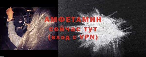 гидра Богданович