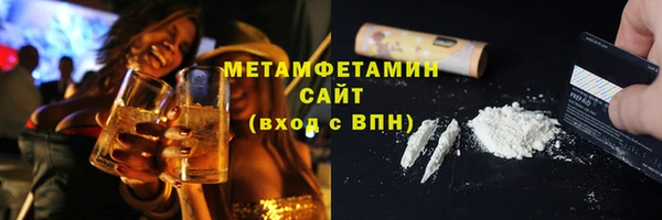 гидра Богданович