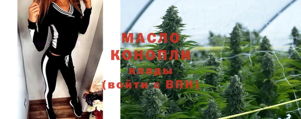 гидра Богданович